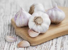 garlic